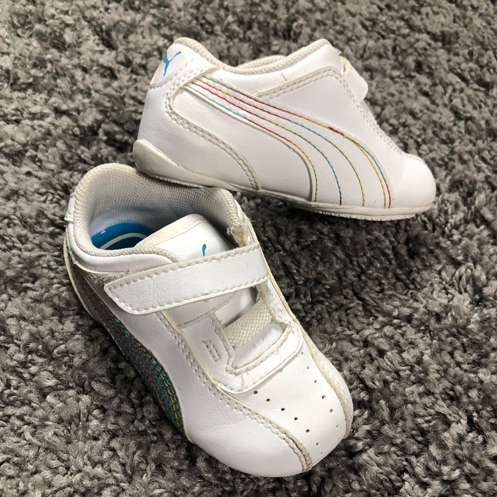 Baby Pumas